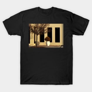 Windows + T-Shirt